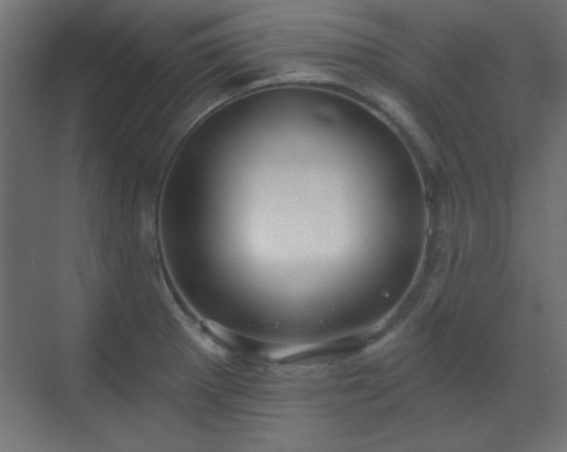 X0000070201281200606021219