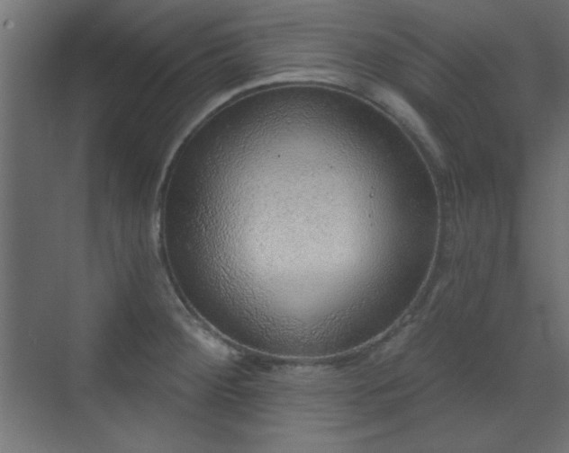 X0000070201284200606021219