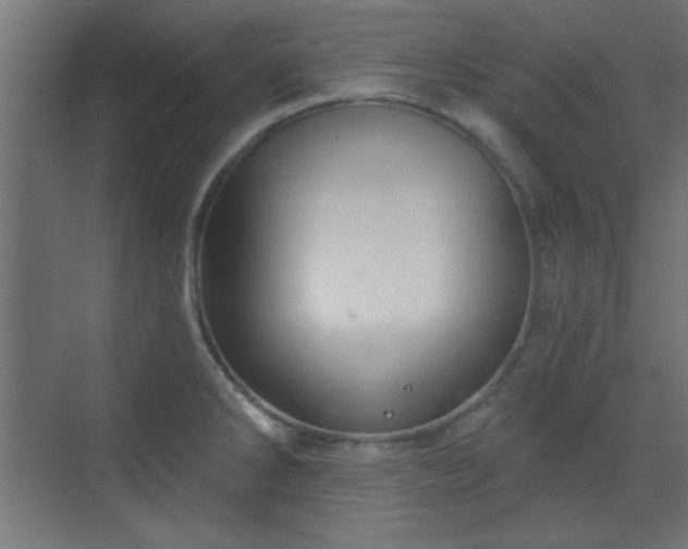 X0000070201286200606021219