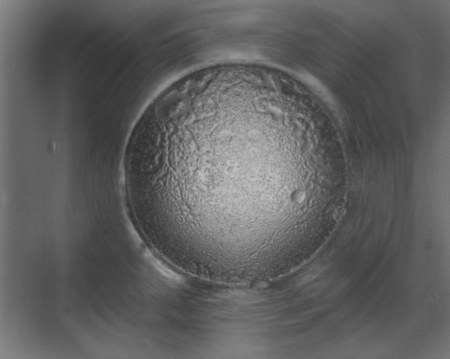 X0000070201287200606021219