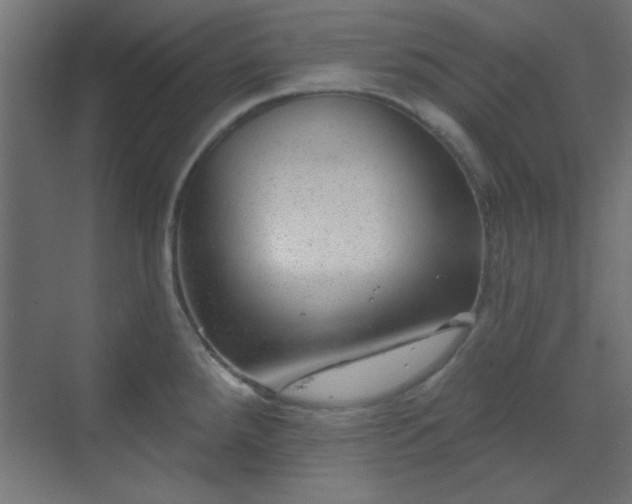 X0000070201288200606021219