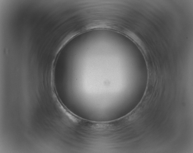 X0000070201290200606021219