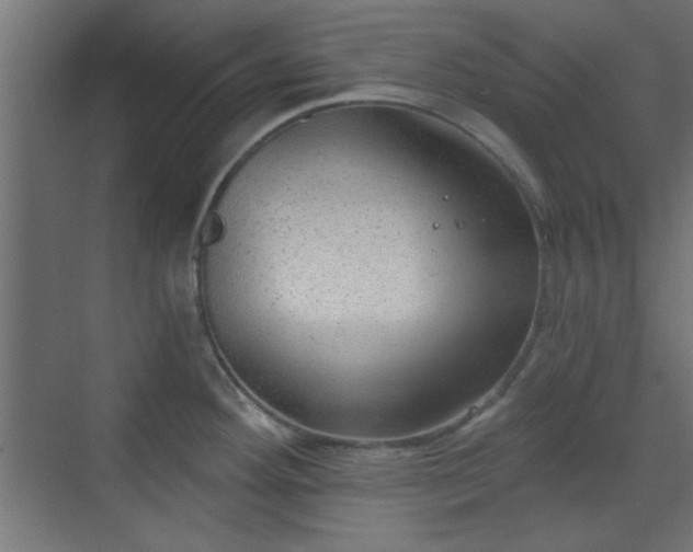 X0000070201292200606021219