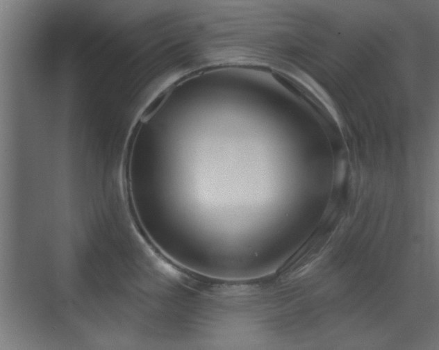 X0000070201293200606021219