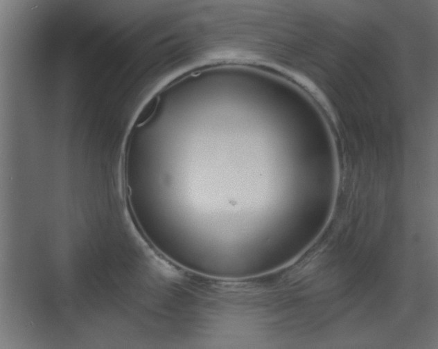 X0000070201295200606021219