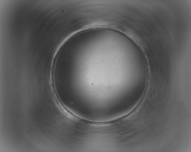X0000070201296200606021219