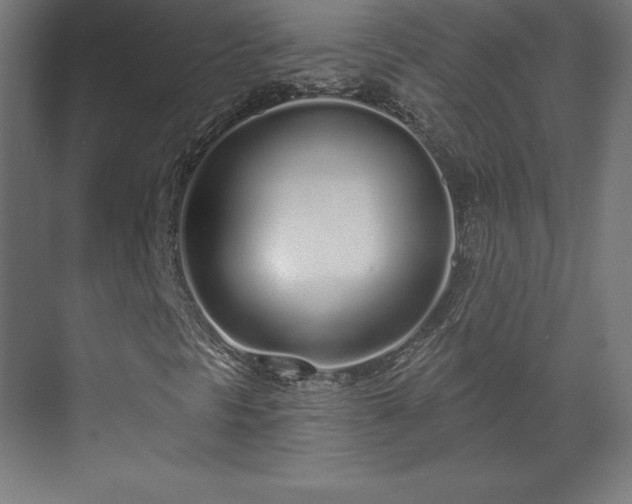 X0000070201297200606021218