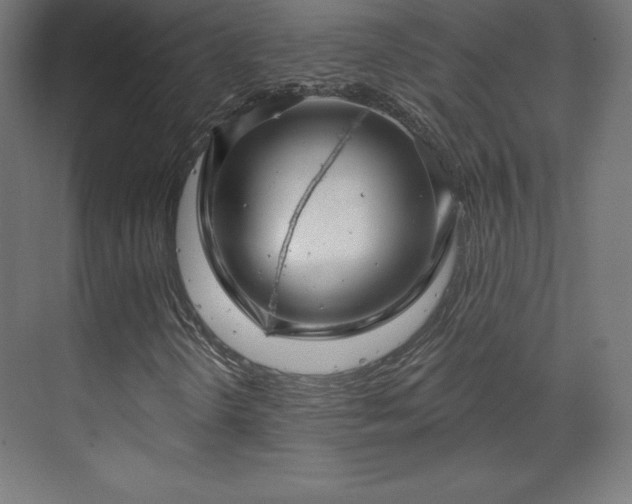 X0000070201298200606021218