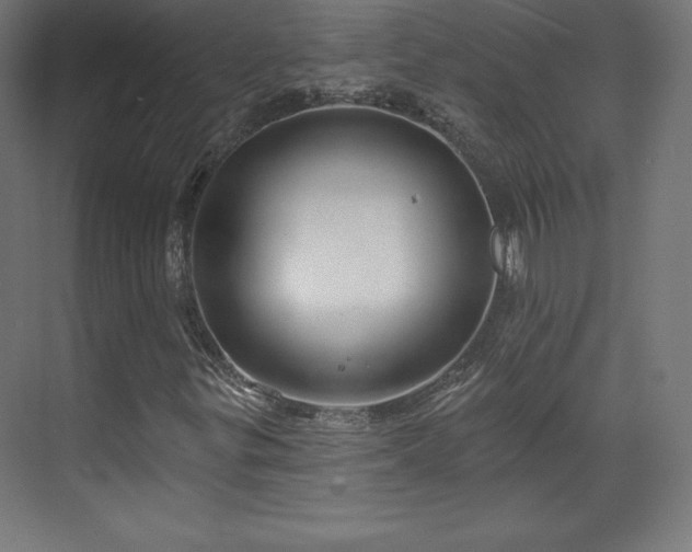 X0000070201299200606021218