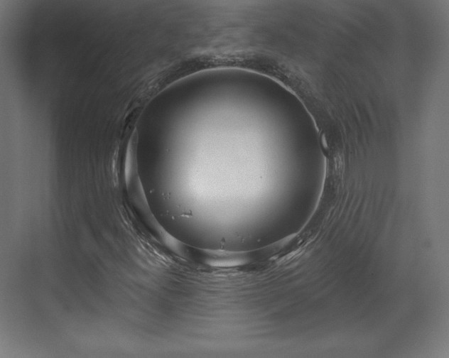 X0000070201300200606021218