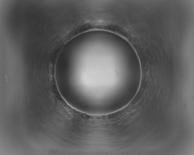 X0000070201301200606021218