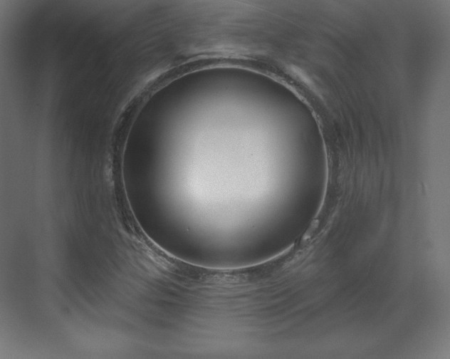 X0000070201307200606021219