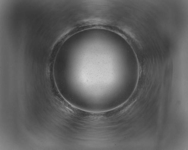 X0000070201309200606021219
