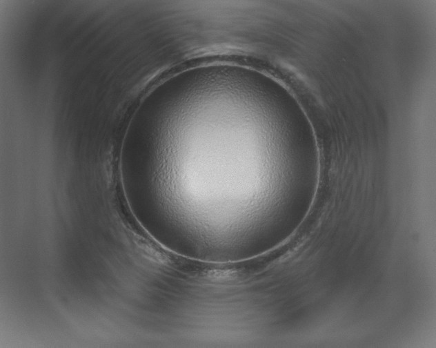 X0000070201313200606021219