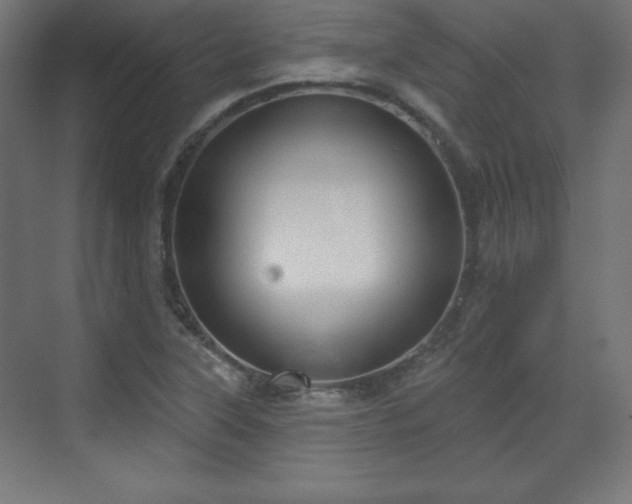 X0000070201315200606021219