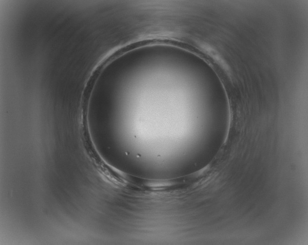 X0000070201316200606021219