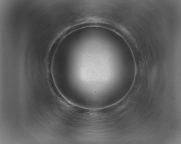 X0000070201318200606021219