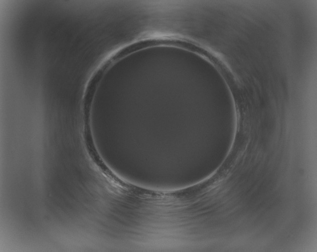 X0000070201319200606021219