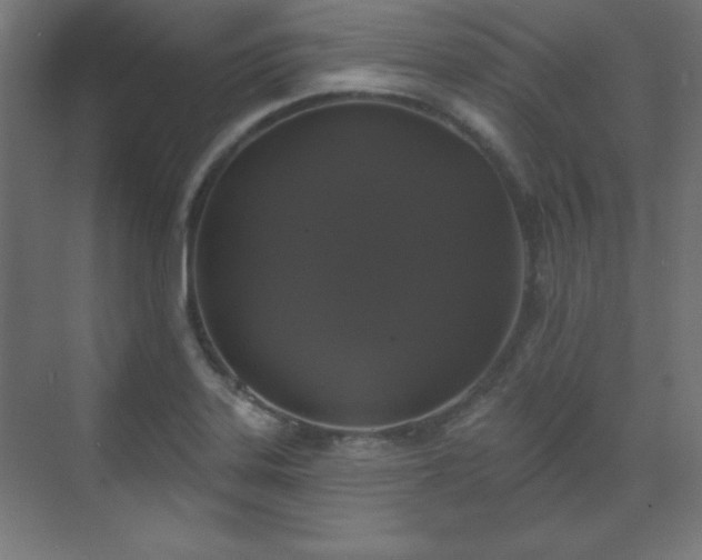X0000070201323200606021219