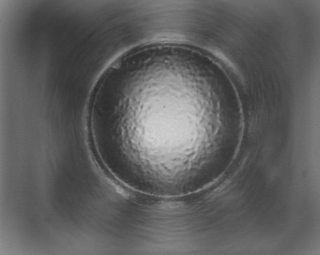 X0000070201325200606021219