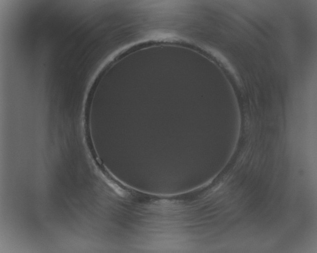 X0000070201327200606021219
