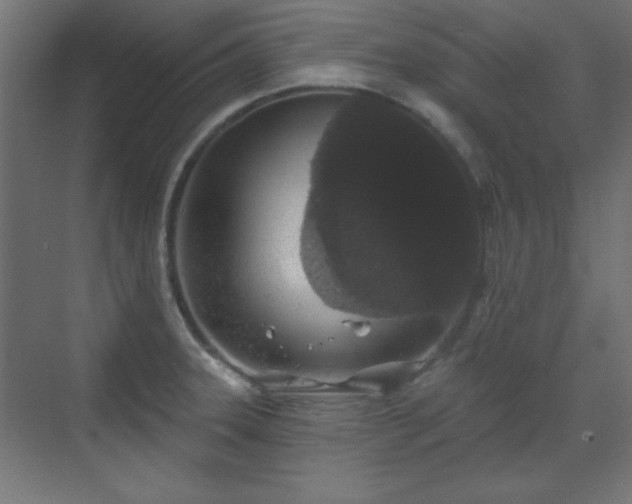 X0000070201331200606021219