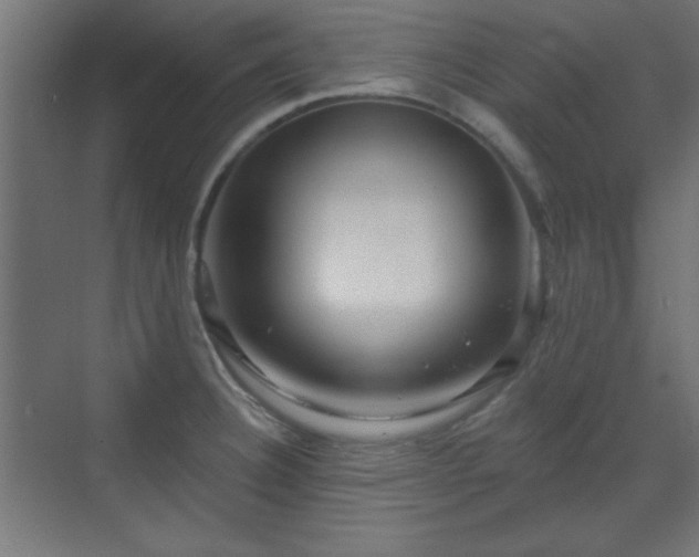 X0000070201332200606021219