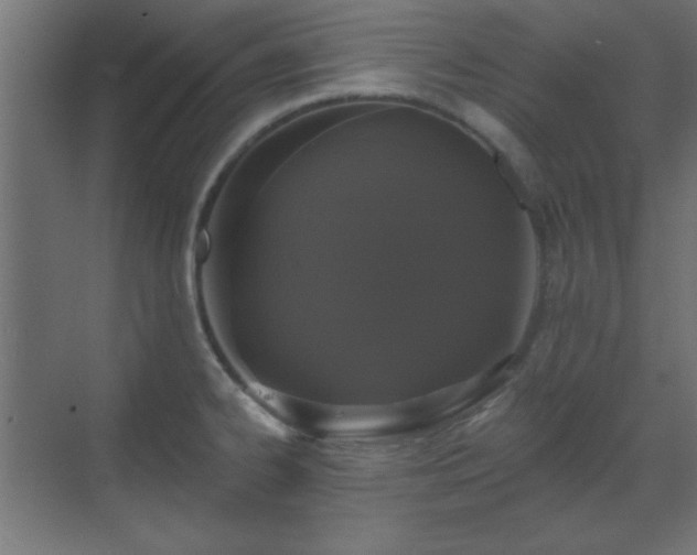 X0000070201334200606021219