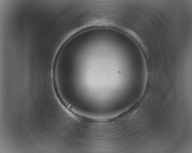 X0000070201335200606021219
