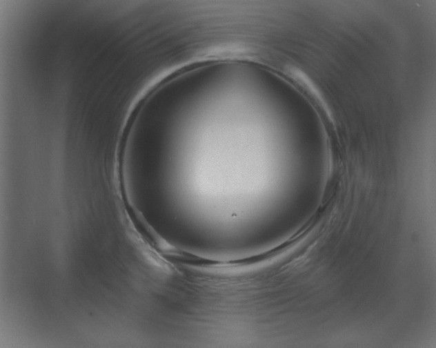 X0000070201336200606021219