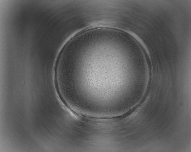 X0000070201341200606021219