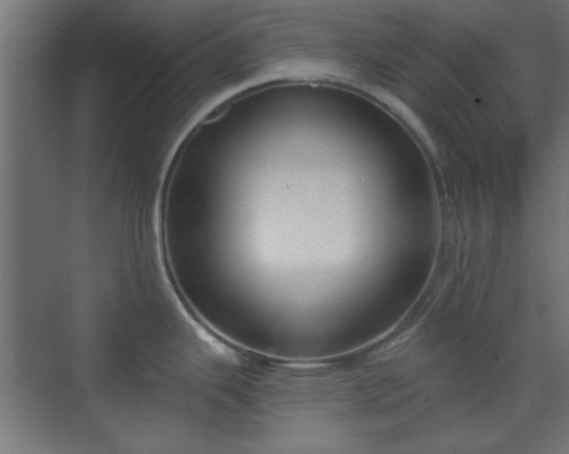 X0000070201343200606021219