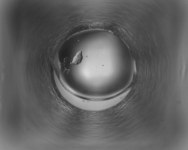 X0000070201345200606021218