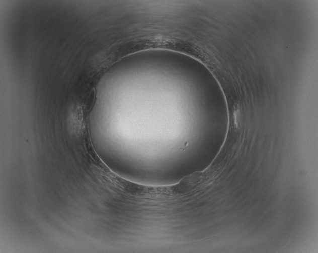 X0000070201347200606021218