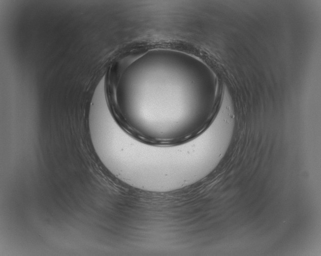 X0000070201348200606021218