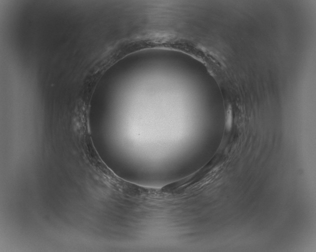 X0000070201349200606021218