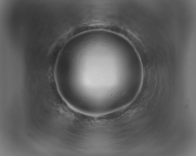 X0000070201351200606021218