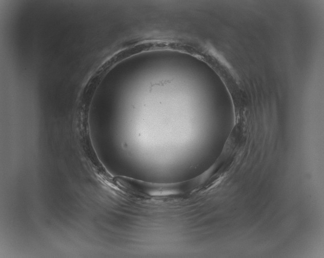 X0000070201352200606021218