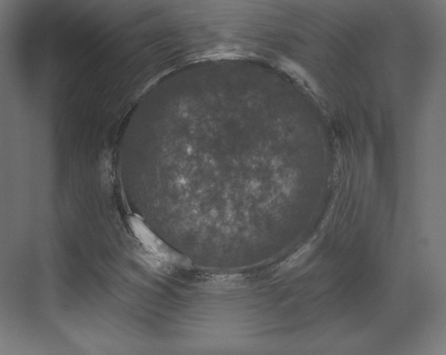 X0000070201353200606021218