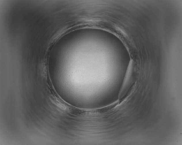 X0000070201354200606021218
