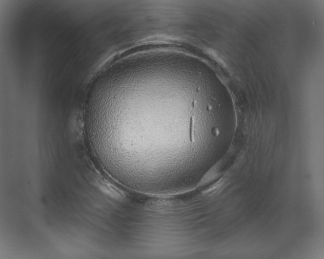 X0000070201355200606021218