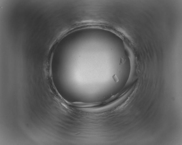 X0000070201357200606021218
