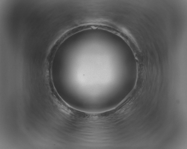 X0000070201360200606021218