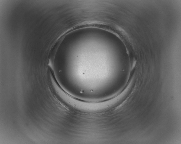 X0000070201361200606021218