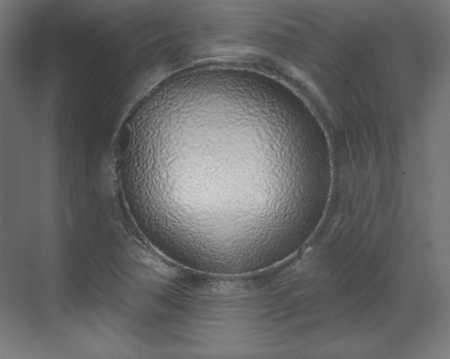 X0000070201362200606021218