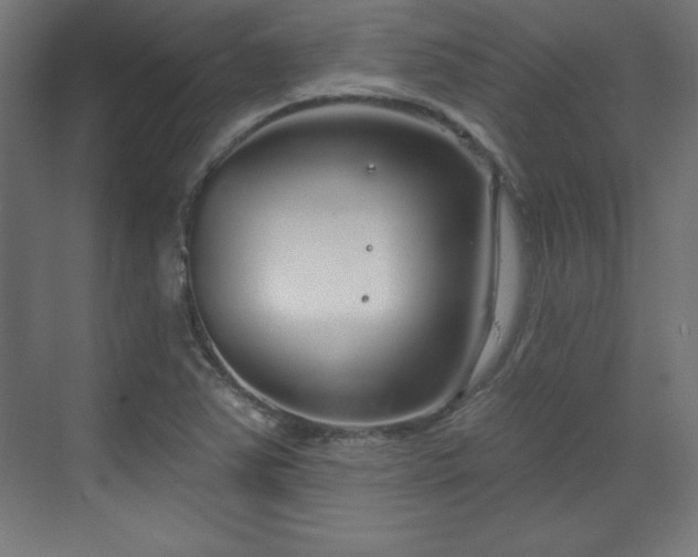 X0000070201363200606021218