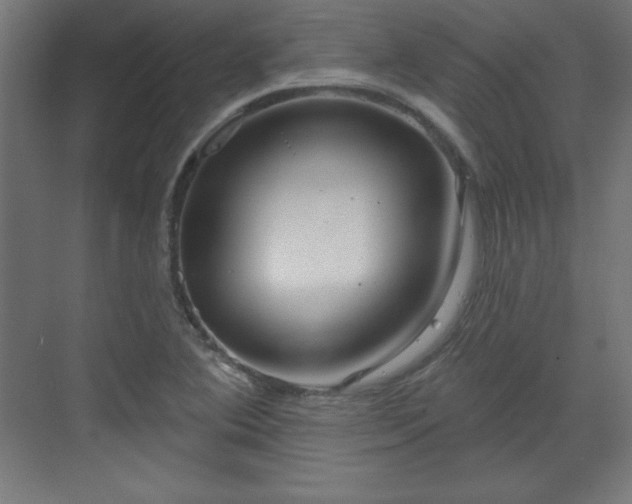 X0000070201364200606021218