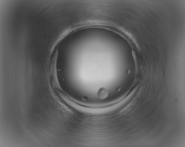 X0000070201365200606021218