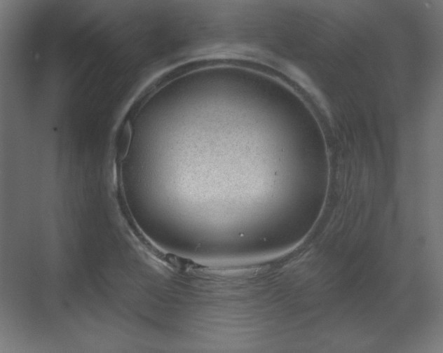 X0000070201368200606021218