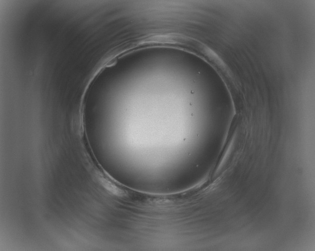 X0000070201370200606021218